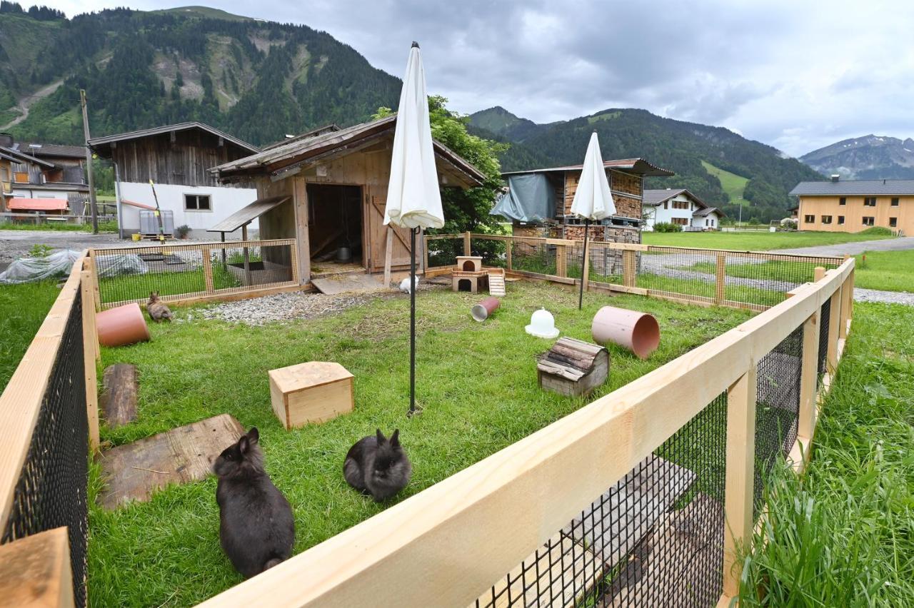 Appartement Ferienbauernhof Moosbrugger à Schoppernau Extérieur photo