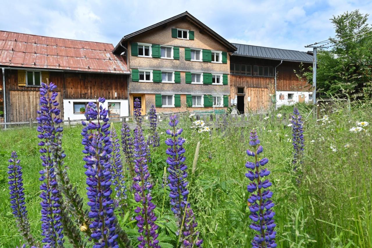 Appartement Ferienbauernhof Moosbrugger à Schoppernau Extérieur photo