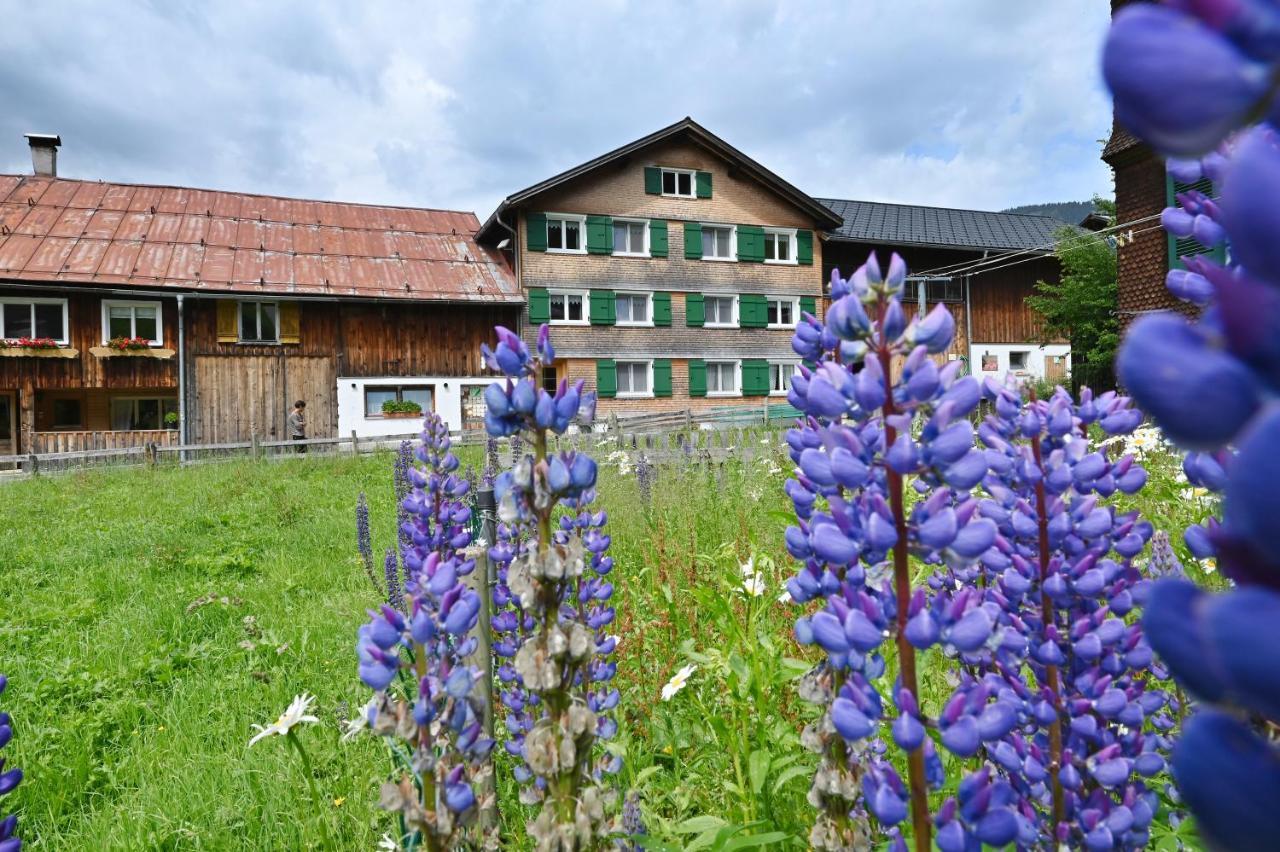 Appartement Ferienbauernhof Moosbrugger à Schoppernau Extérieur photo