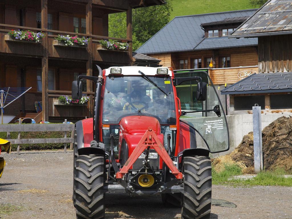 Appartement Ferienbauernhof Moosbrugger à Schoppernau Extérieur photo
